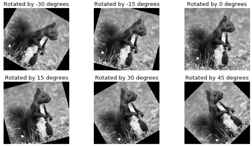 A series of 6 images showing differences in image rotation
