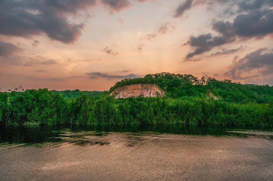 tropical-forest-from-river-view