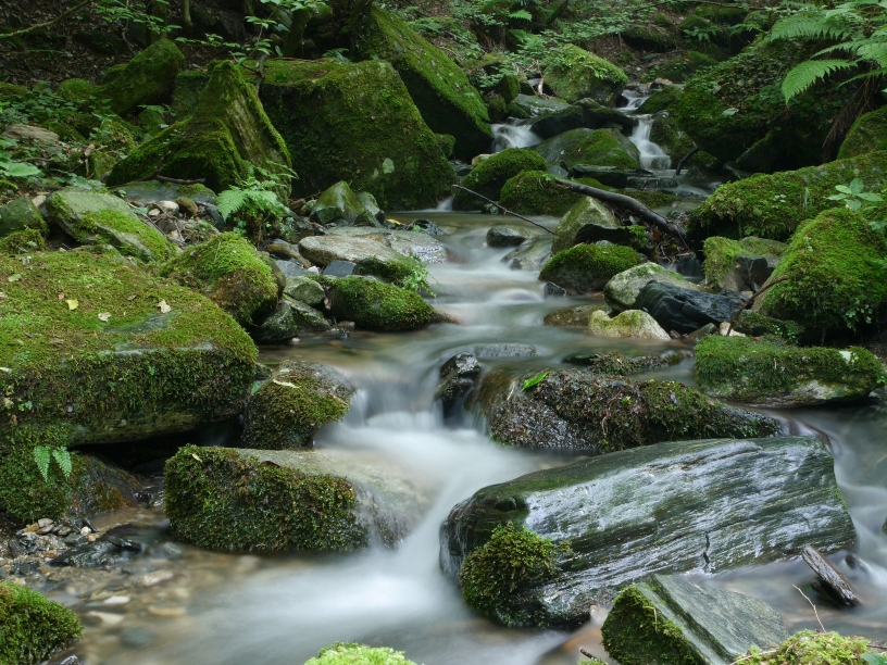 moss-covered-rocks-in-stream