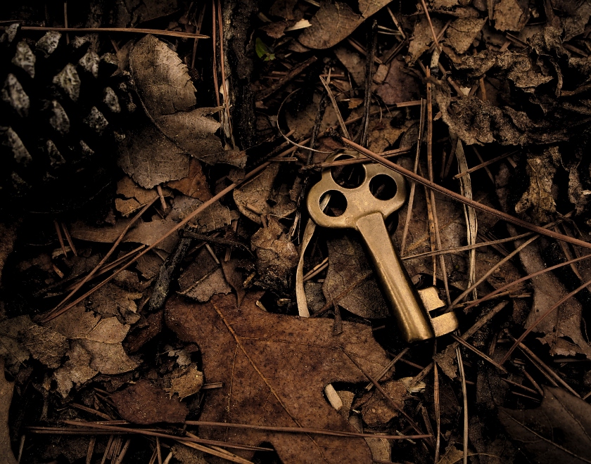 key-in-fall-leaves