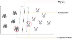 How does SVM work - Support Vector Machine In R - Edureka