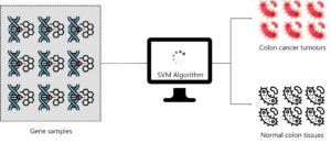 SVM Use case - Support Vector Machine In R - Edureka