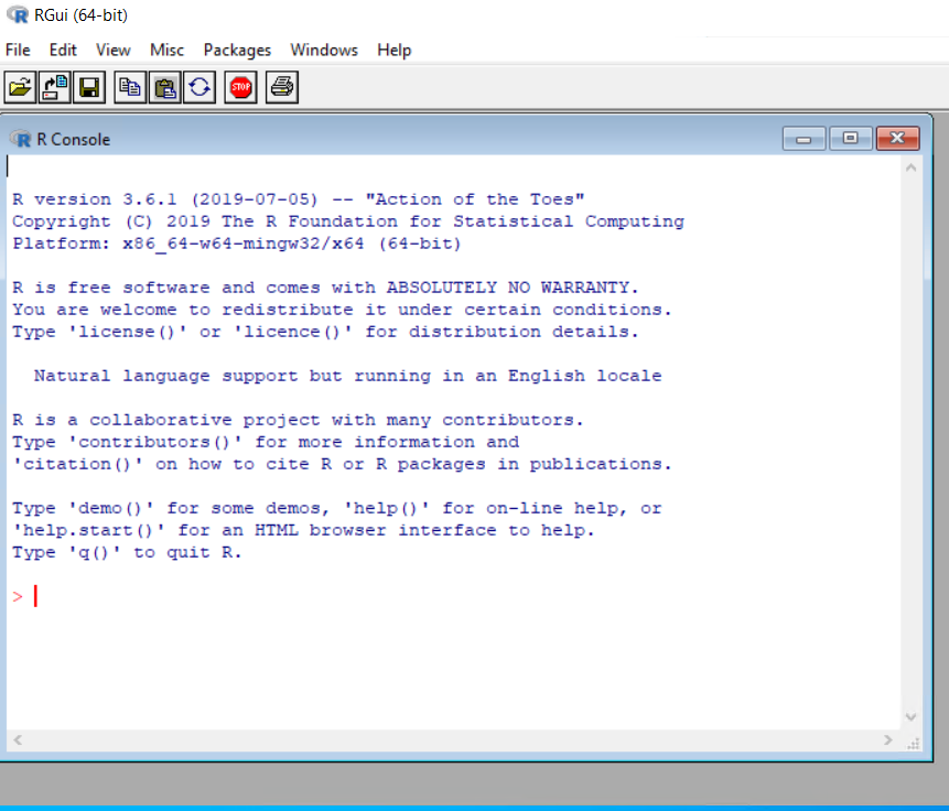 R console