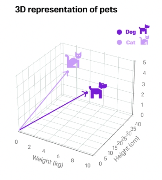 宠物的 3D 表示